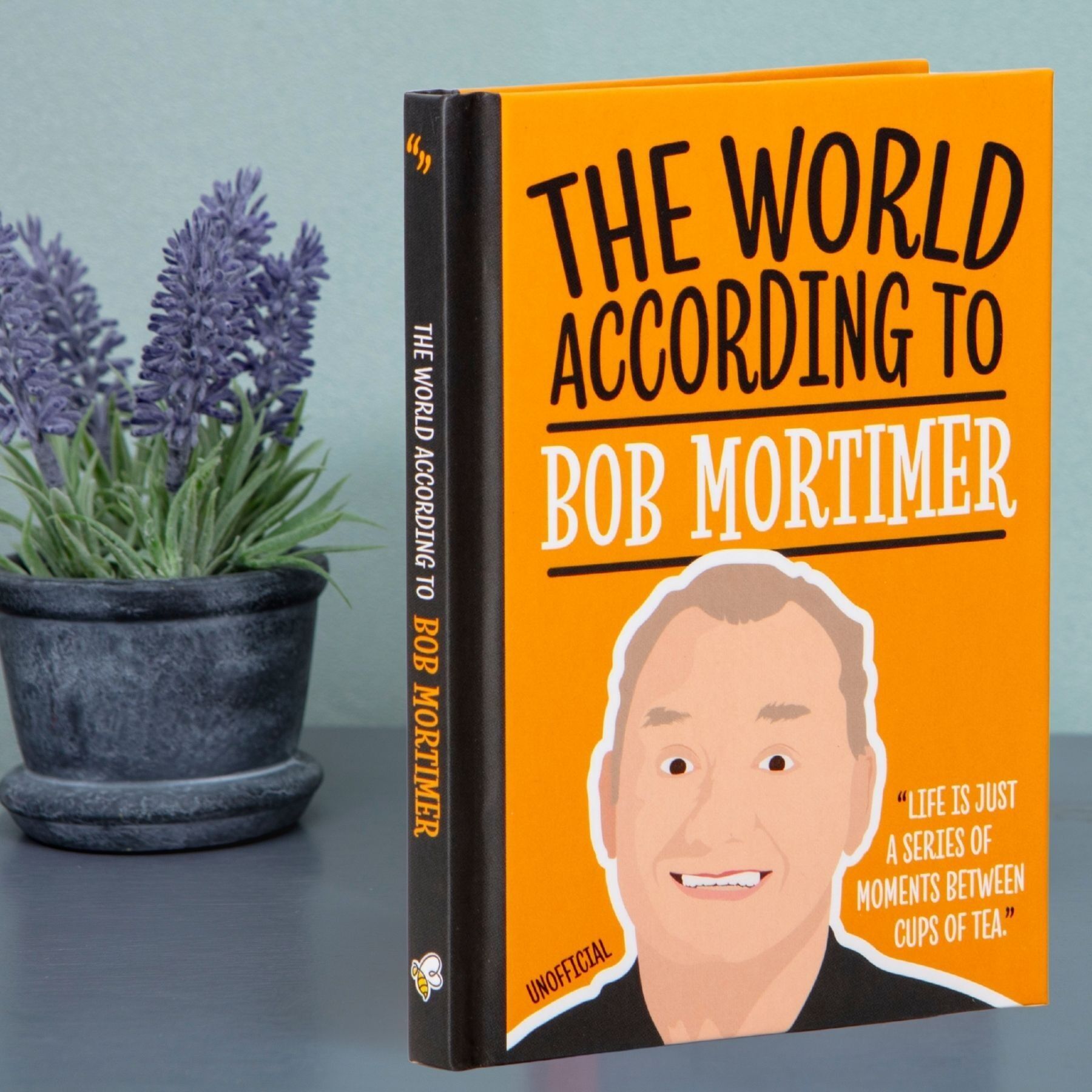 Buch „Die Welt nach Bob Mortimer“ – originelles Geschenk