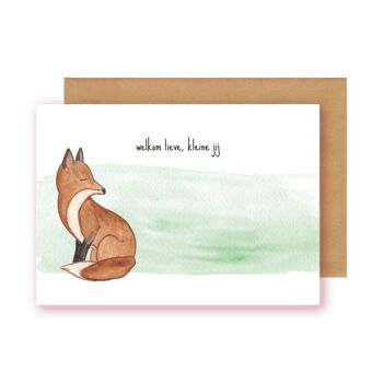 Postkaart - geboorte vos