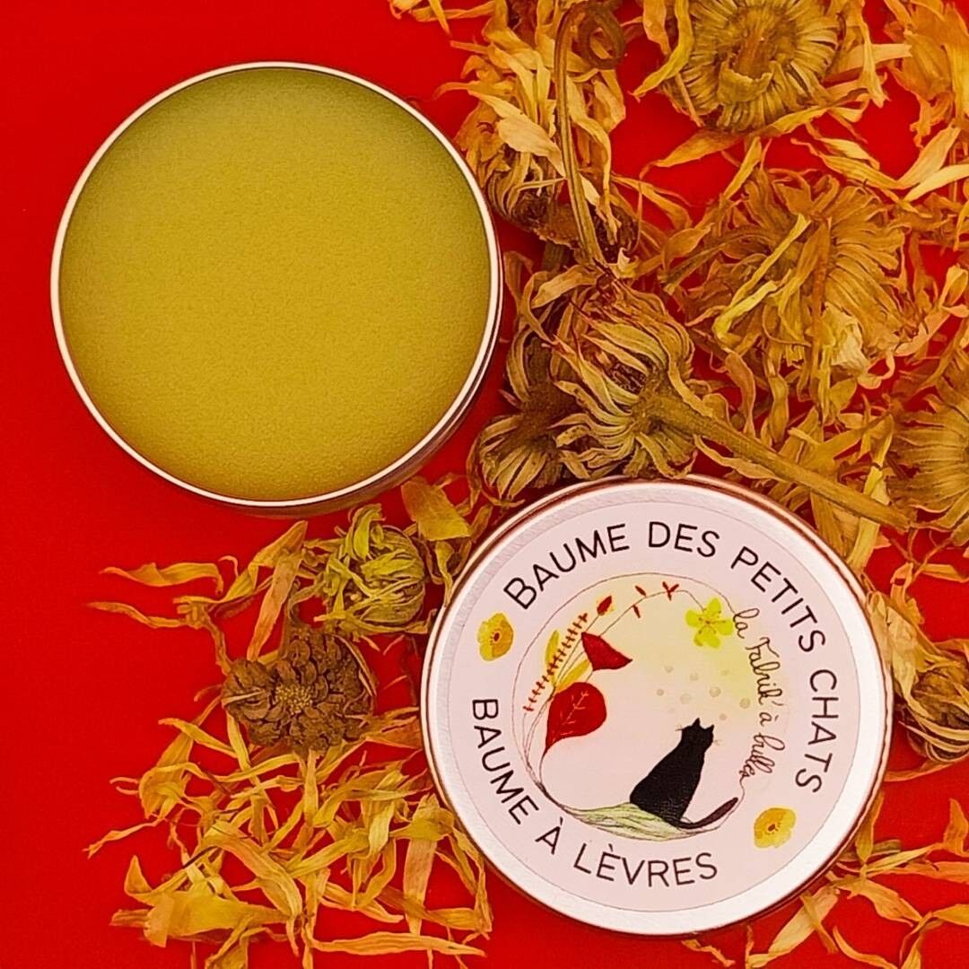 Organic, plant-based and natural lip balm