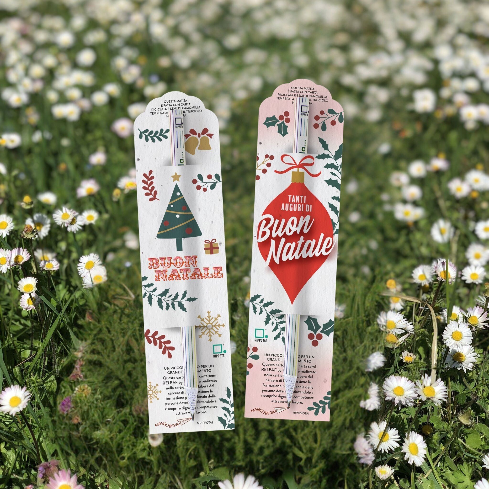 Matite Piantabili Natalizie con Semi di Camomilla – Kit da 2 in Carta solidale Releaf