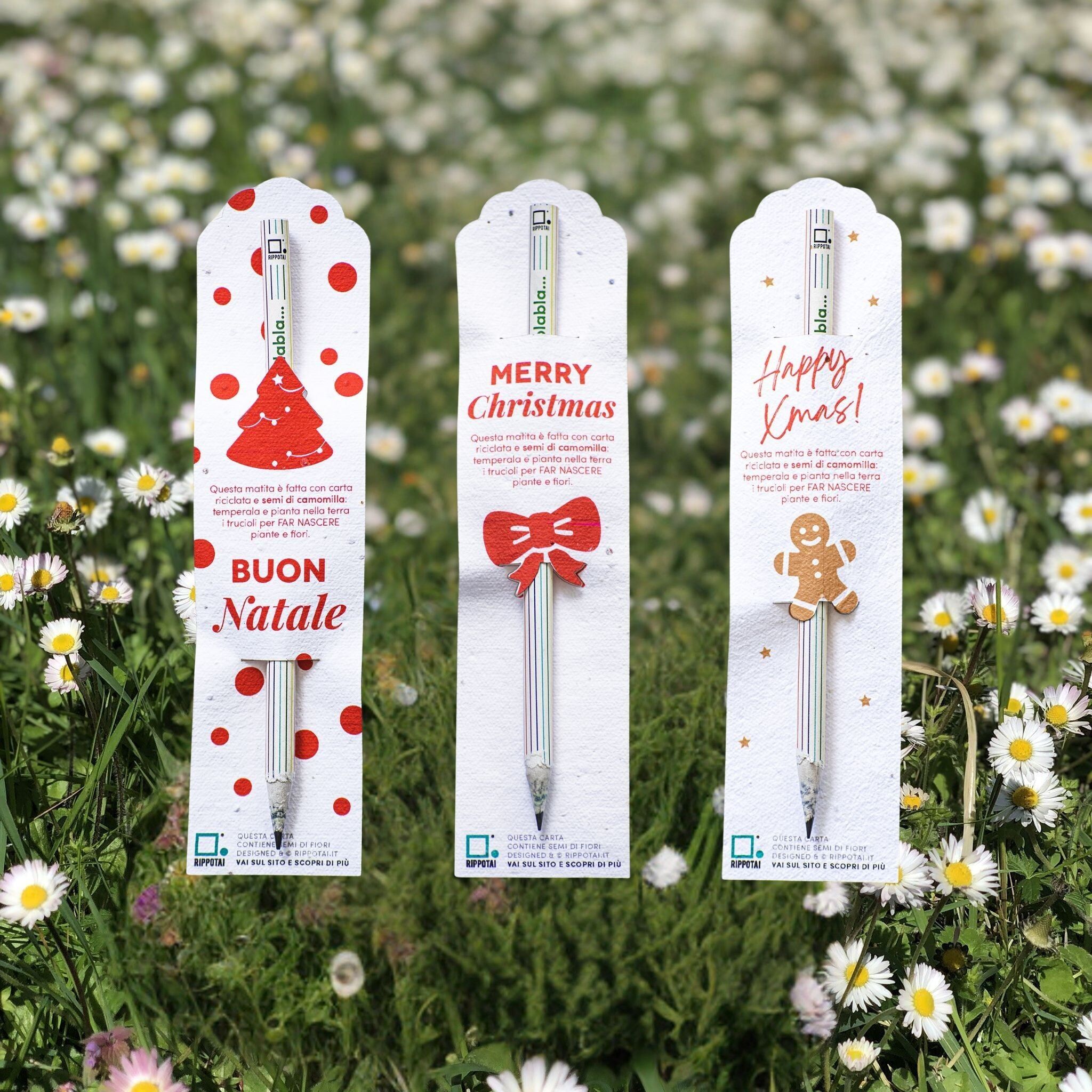 Matita Piantabile – Kit 3 Natalizio e spedizione gratuita