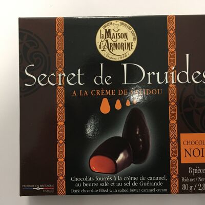 Dark chocolate "Secret de Druides" case filled with Salidou cream