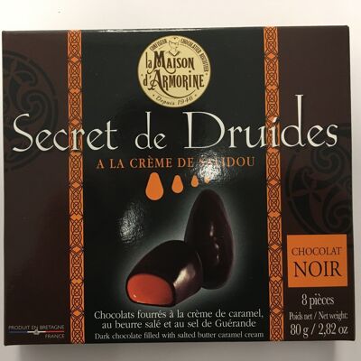 Etui "Secret de Druides" chocolat noir fourré à la crème de Salidou