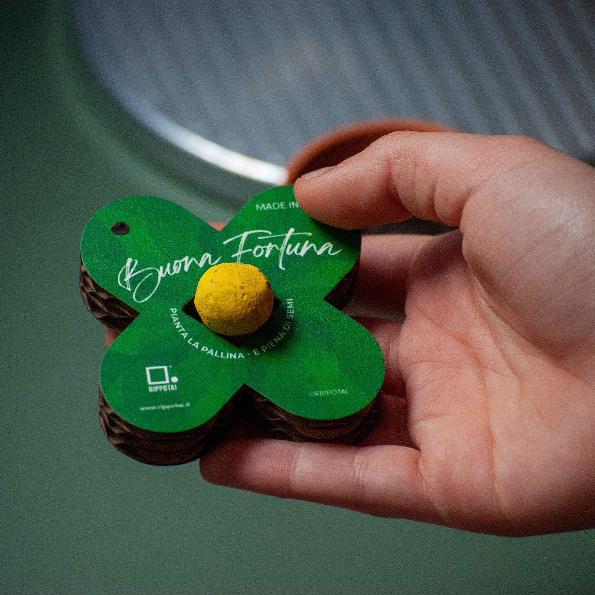 Quadrifogli Portafortuna Ecologici - Kit da 2 con Bombe di Semi di Fiori per Eventi e Regali