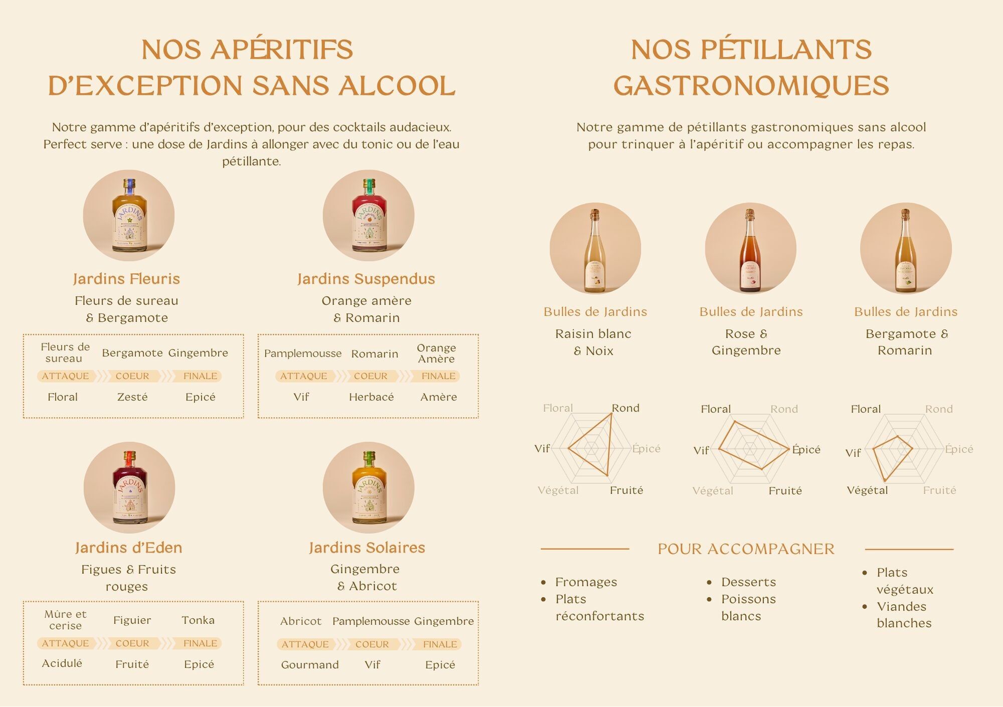 Flyer - Sortimentspräsentation - 20er-Packung - Französisch