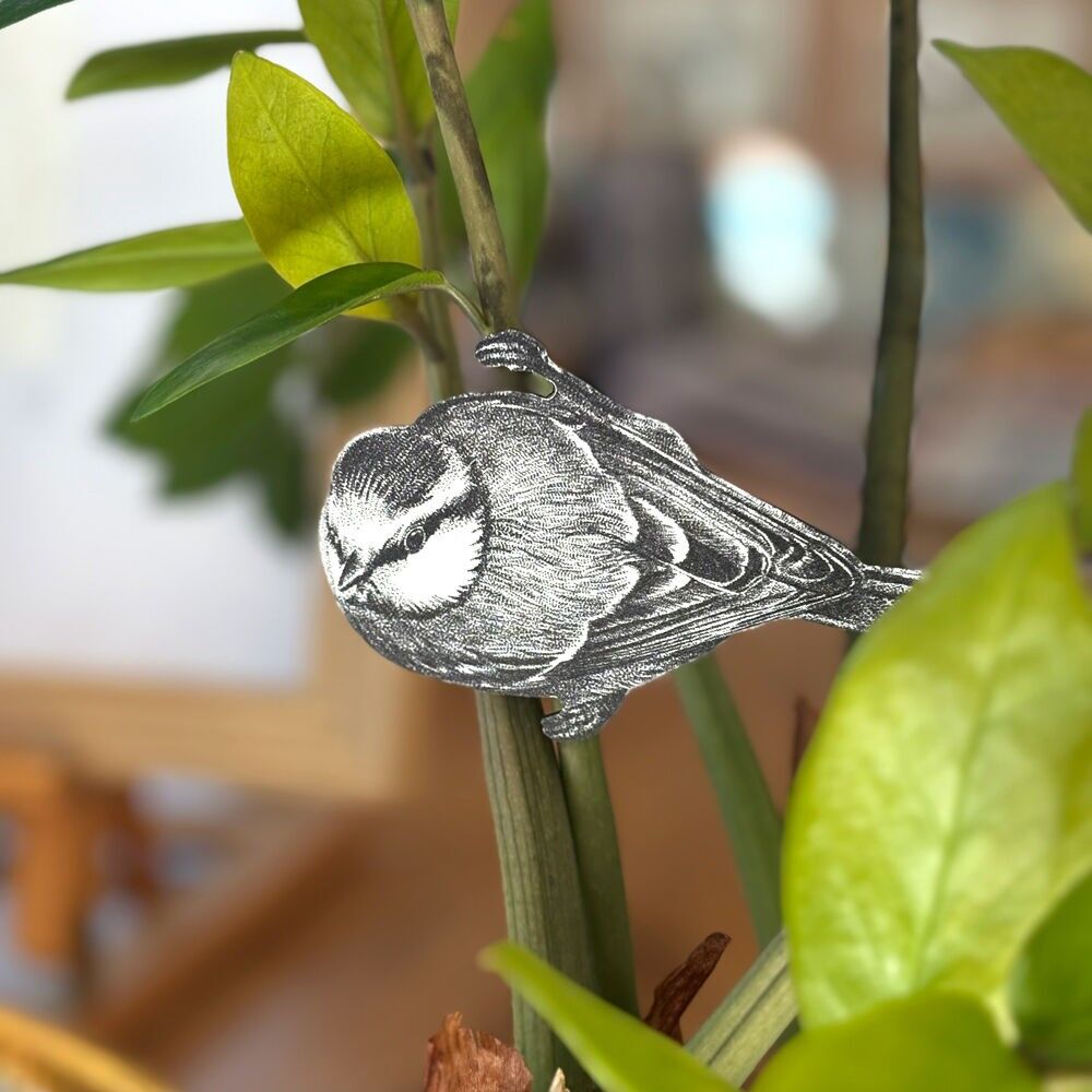 Clip de herrerillo común