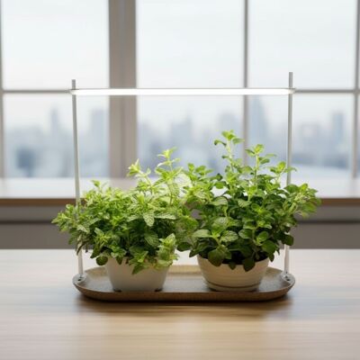 "Urban Green" LED Grow Light for Indoor Plants