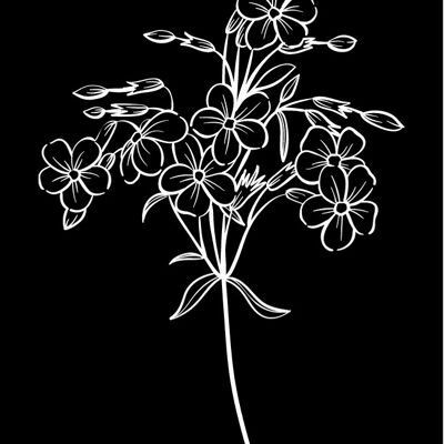 Blume schwarz | Minikarte Blooming Kollektion Fripperies