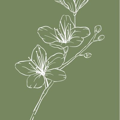 Blume verblasst grün | Minikarte Blooming Kollektion Fripperies
