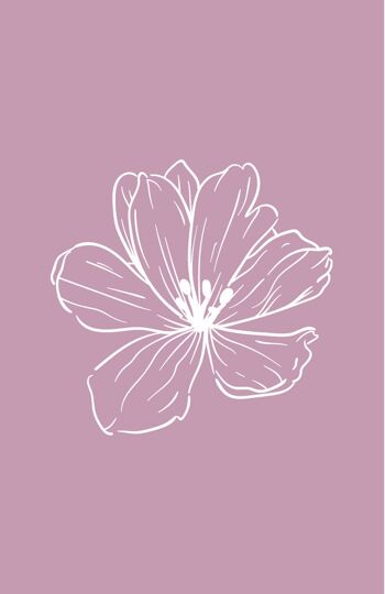 Fleur rose délavé | Mini carte Blooming collection Friperies