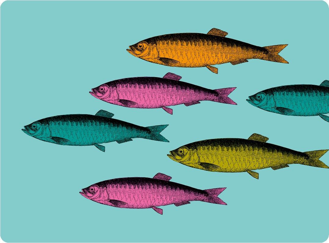 Sardines Placemat - Turquoise