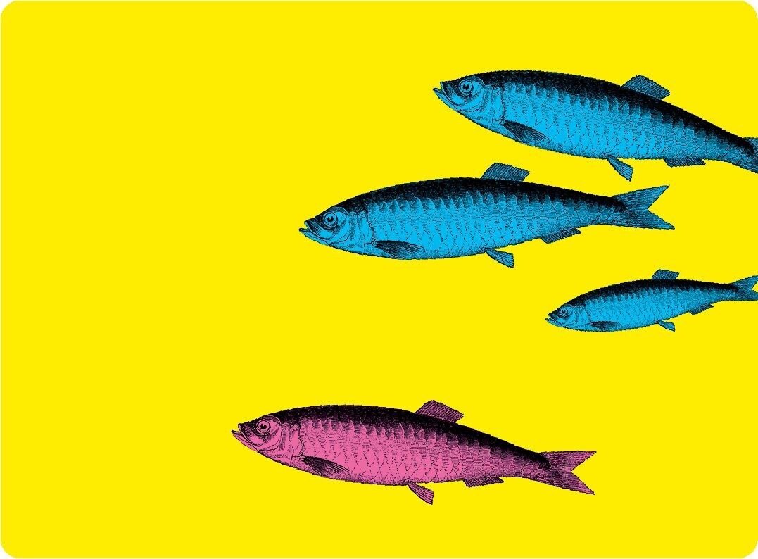 Sardines Placemat - Yellow