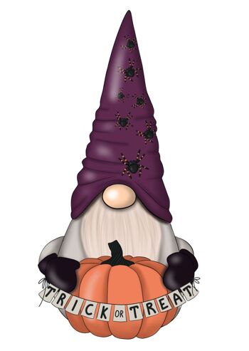 Gnome 'Trick or Treat' | friperies