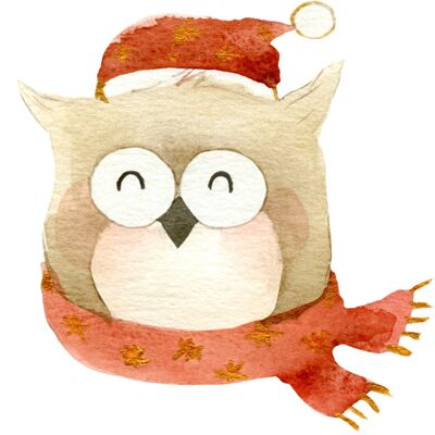 owl| Christmas collection Fripperies