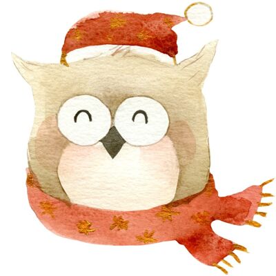 owl| Christmas collection Fripperies