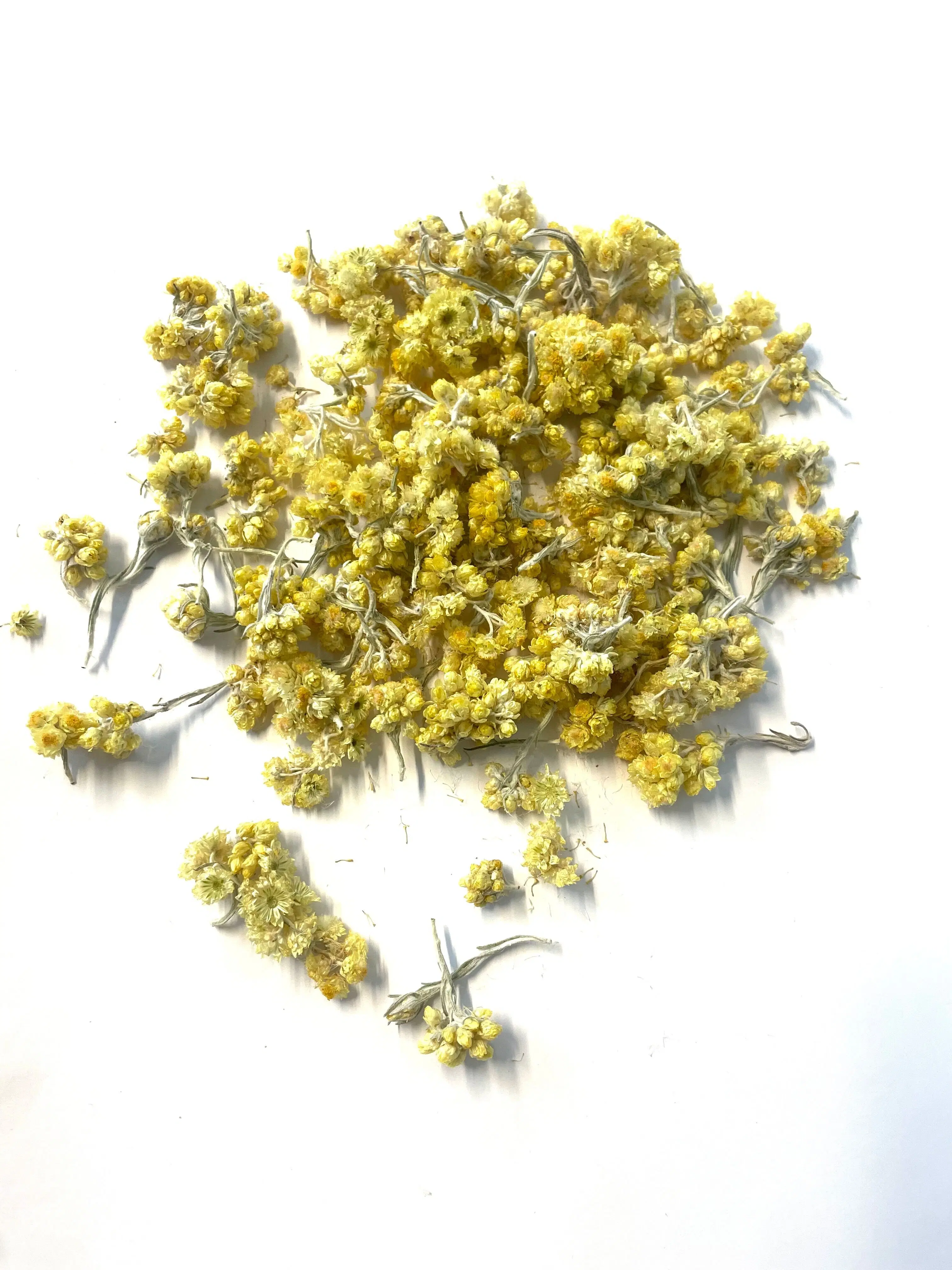 Achat Fleurs d'hélichryse (vrac : 250g) - origine France en gros