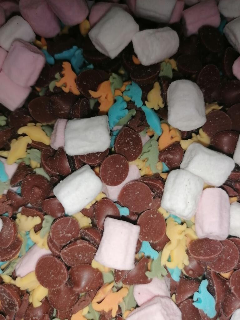 Chok'Ola Show Dinosaure