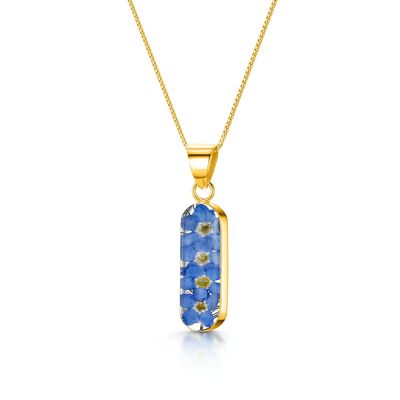 Parfait pour la fête des mères - De vraies fleurs de myosotis !