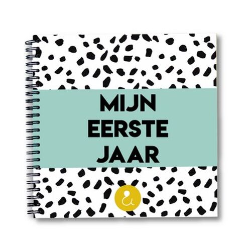 Invulboek baby's eerste jaar | Mint