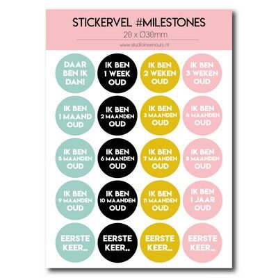 Stickervel | Mijlpalen - Rose