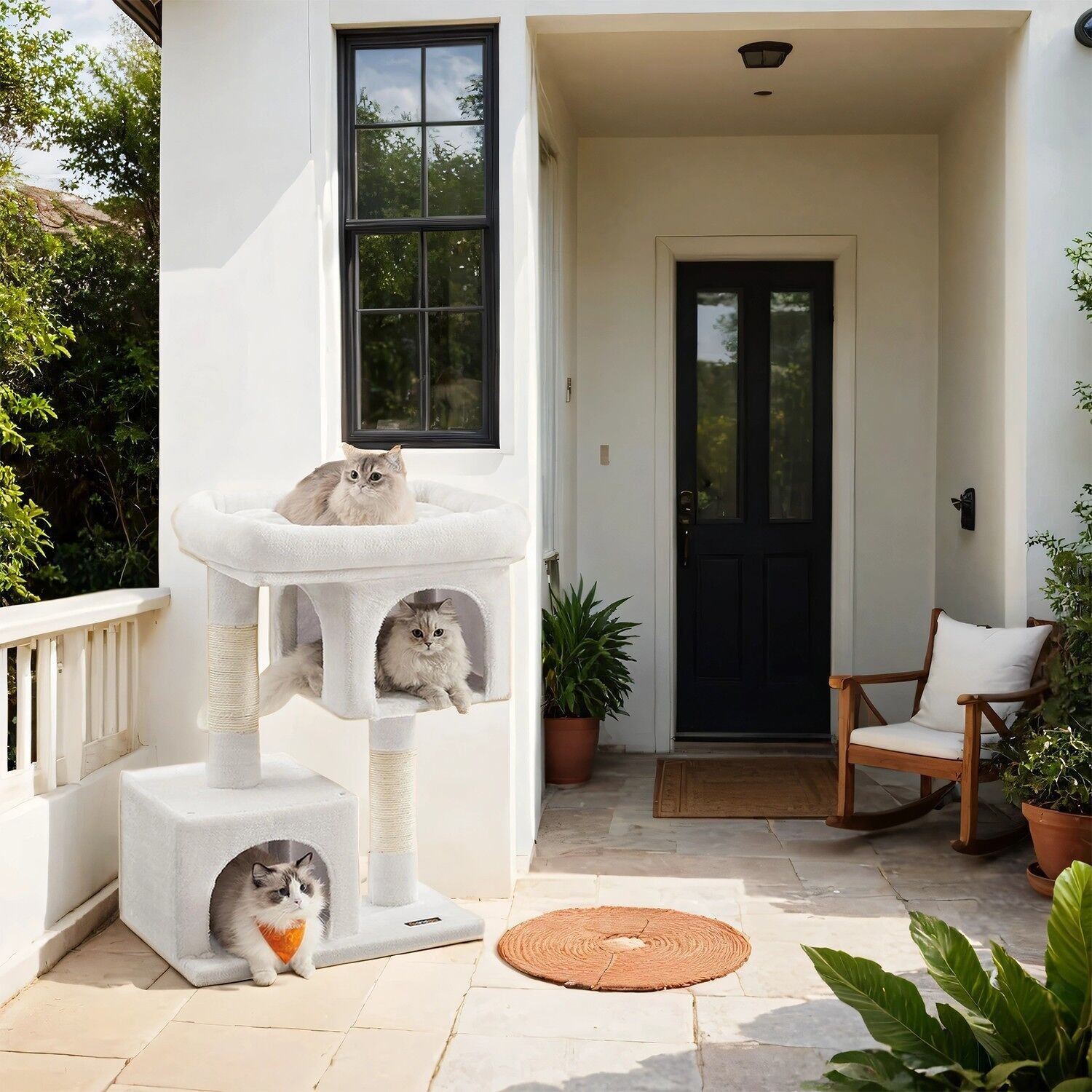 Tiragraffi alto 84 cm, tiragraffi per gatti di grandi dimensioni, grande piattaforma panoramica 3