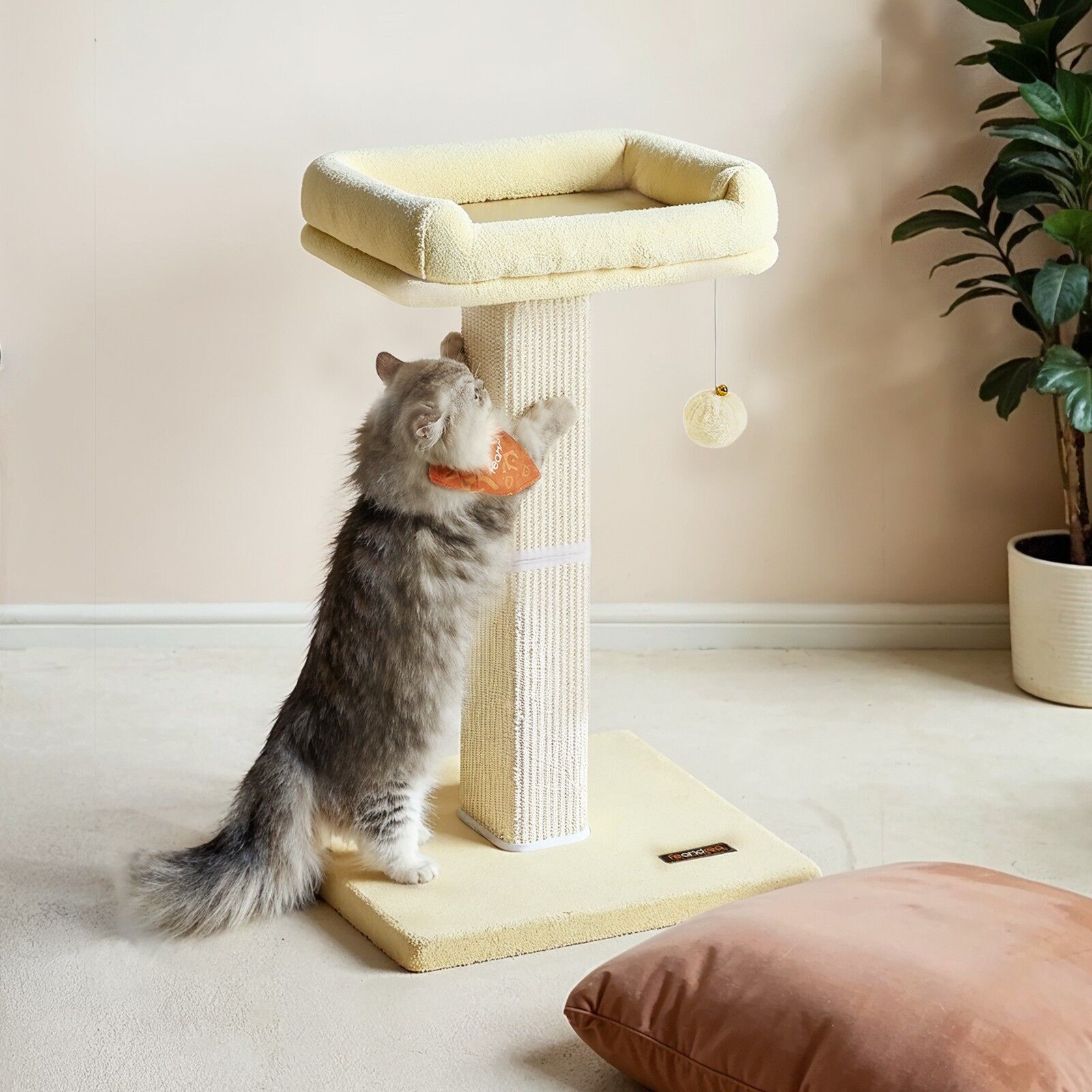 Tiragraffi per gatti con piattaforma in peluche 40 x 30 cm, tiragraffi 1