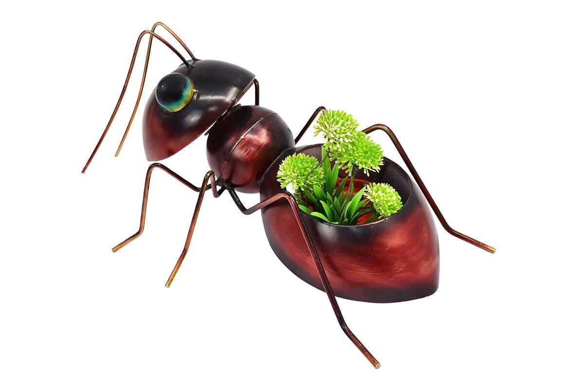 AJ1209 - Ameisenpflanzgefäß - IRON STORY