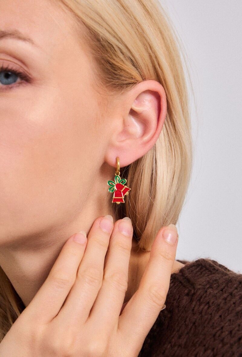 Orecchini in acciaio inossidabile 124RX219