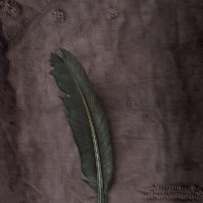 The Green Feather - 18x24cm / 7 x 9½ in