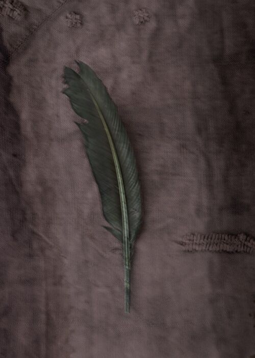 The Green Feather - 30x40cm / 11¾ x 15¾ in