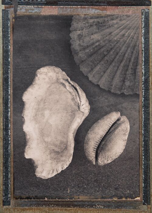 Seashells & Magic - 18x24cm / 7 x 9½ in