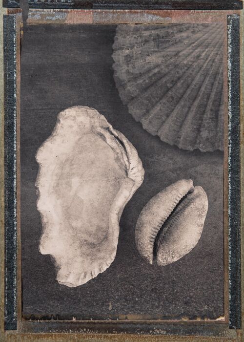 Seashells & Magic - 30x40cm / 11¾ x 15¾ in