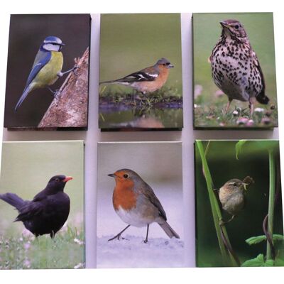 Garden Bird Hardcover-Memo