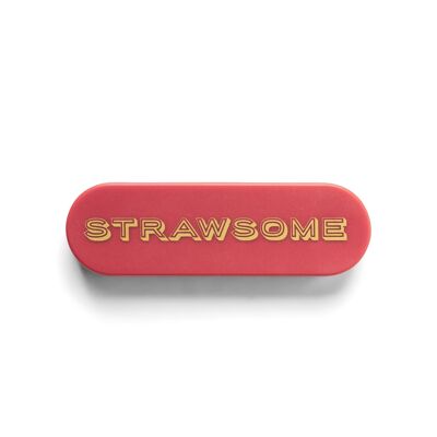 Cannuccia portatile - Terracotta - Strawsome - DESIGNWORKS INK