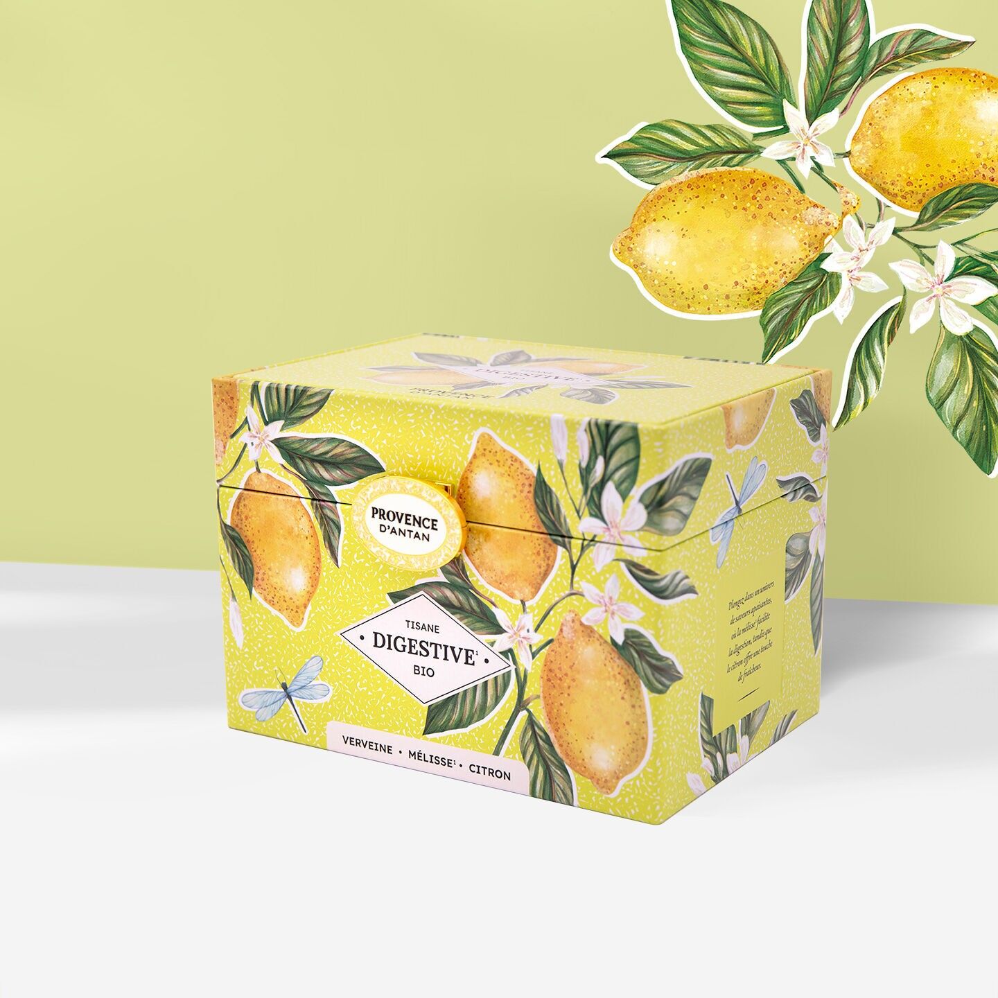 Tisana digestiva biologica in scatola di metallo* Scatola di metallo