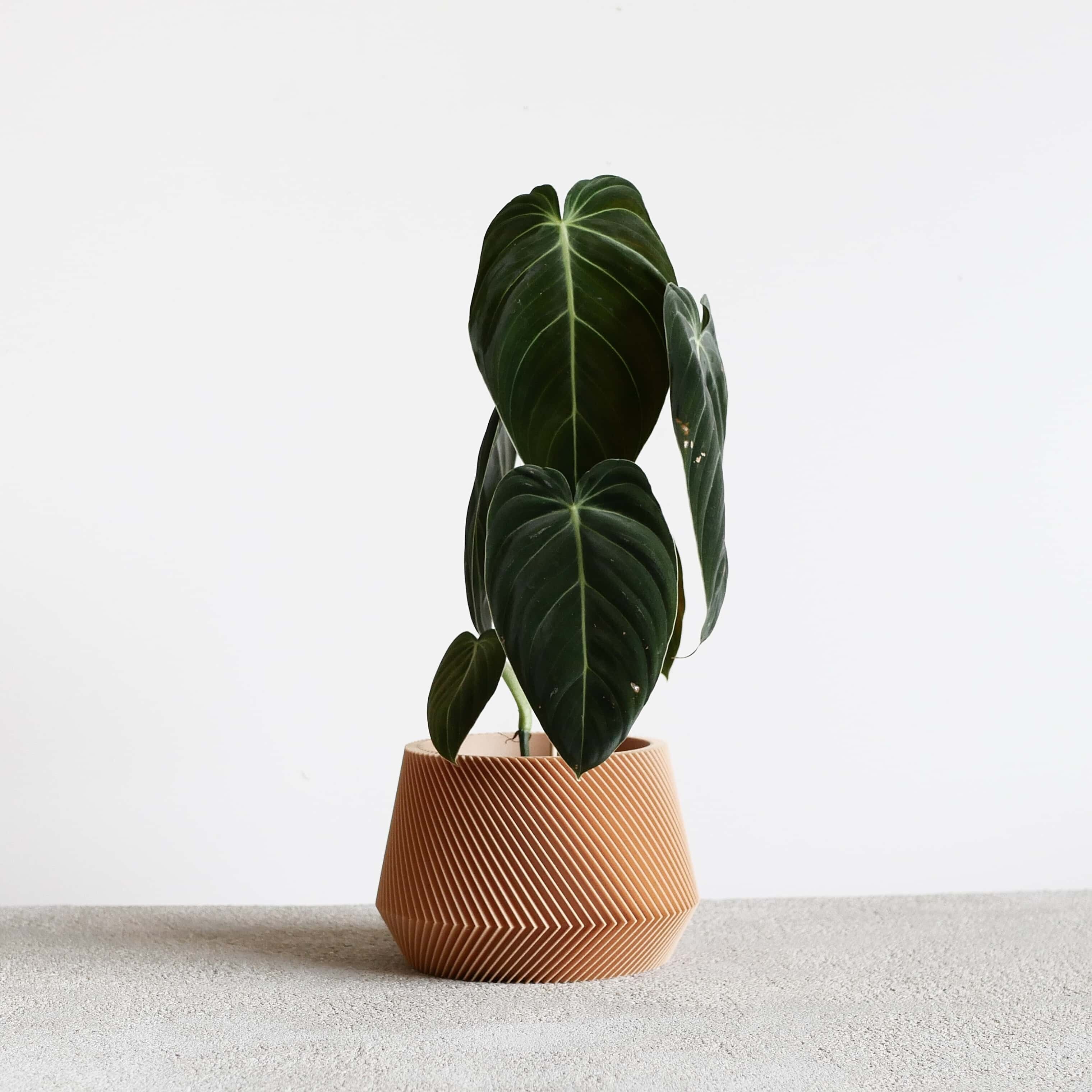 Geometrischer Garten aus Holz – OSLO