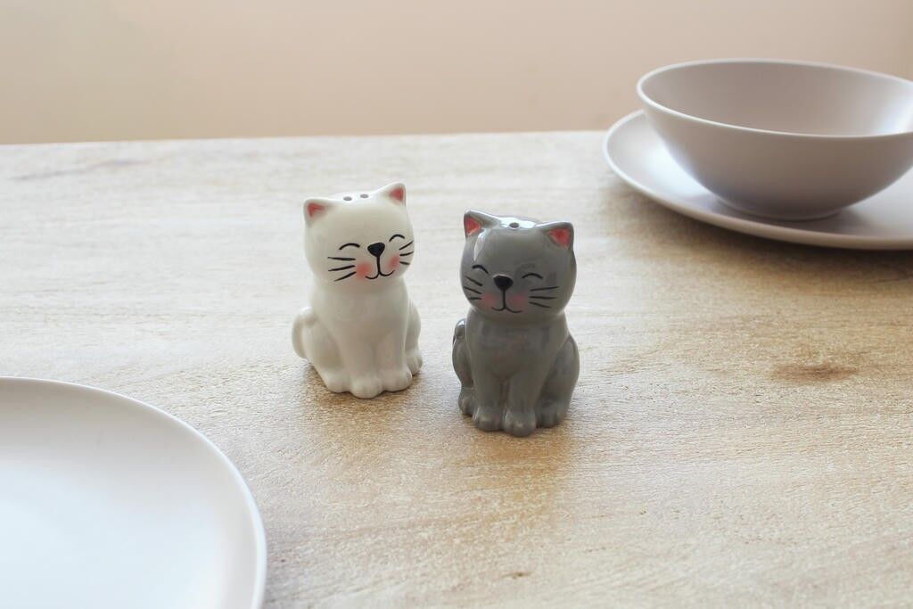 Cat salt and pepper shakers