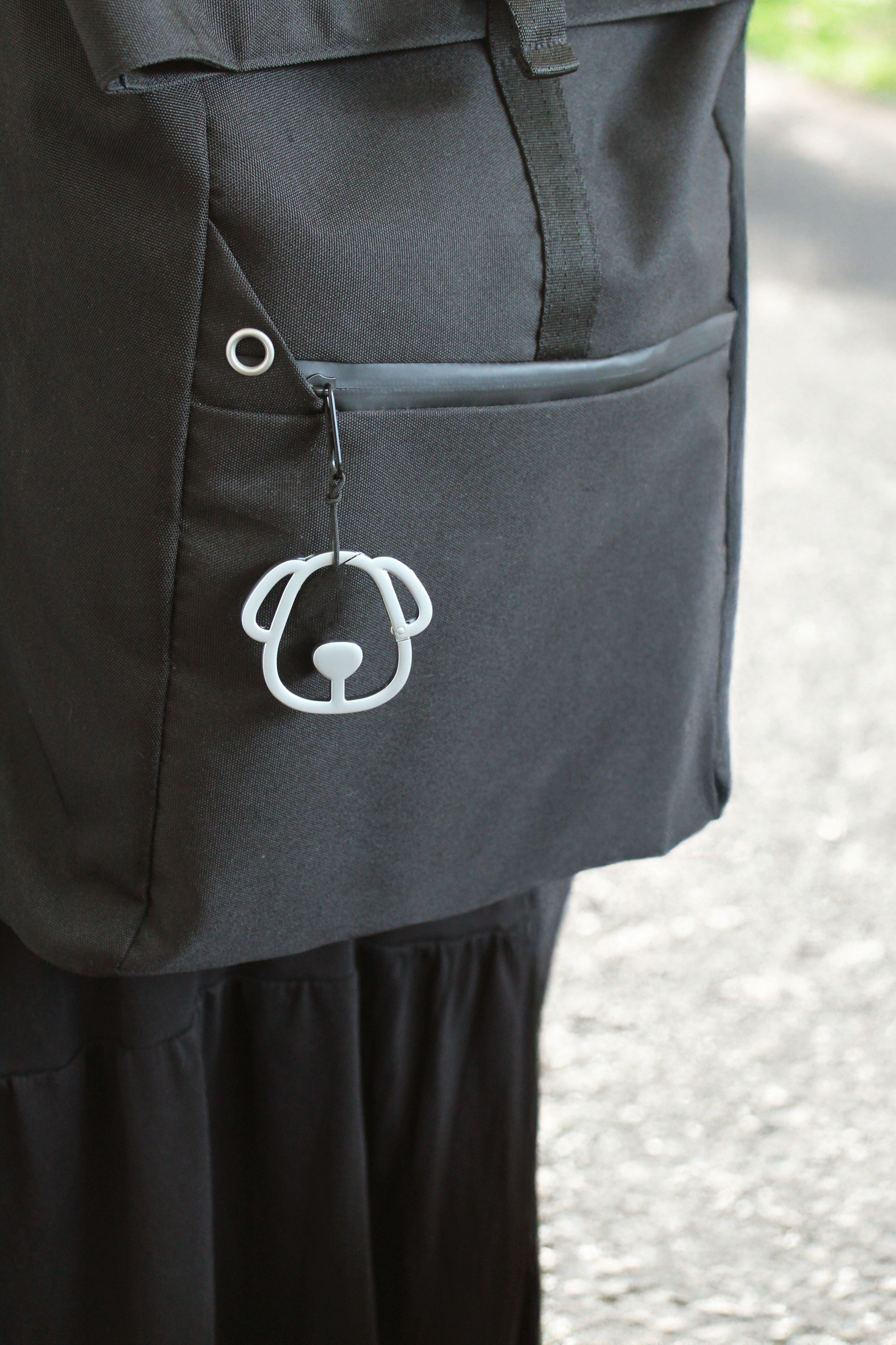 Set moschettone per cani argento, opaco + cromato