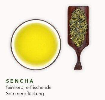 Sencha - thé vert du Japon bio (200g) 2
