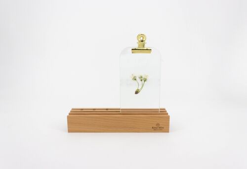 Jardin d'hiver - Verre pince dorée - (made in France) en bois de Hêtre massif et plaque en verre
