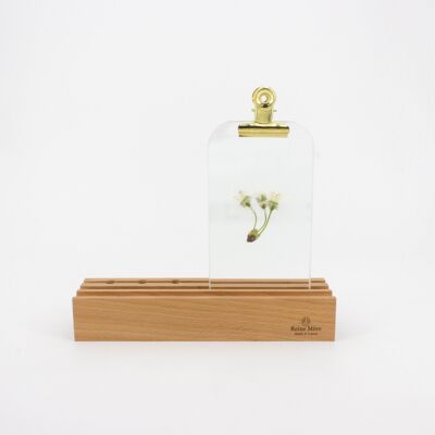 Winter garden - Golden clip glass - (made in France) in solid beech wood and glass plate