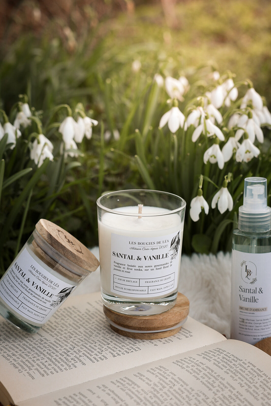 Large Sandalwood & Vanilla Scented Candle - Set of 4