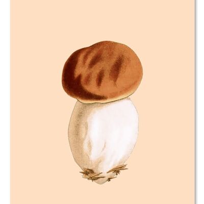 Etichetta regalo con funghi porcini