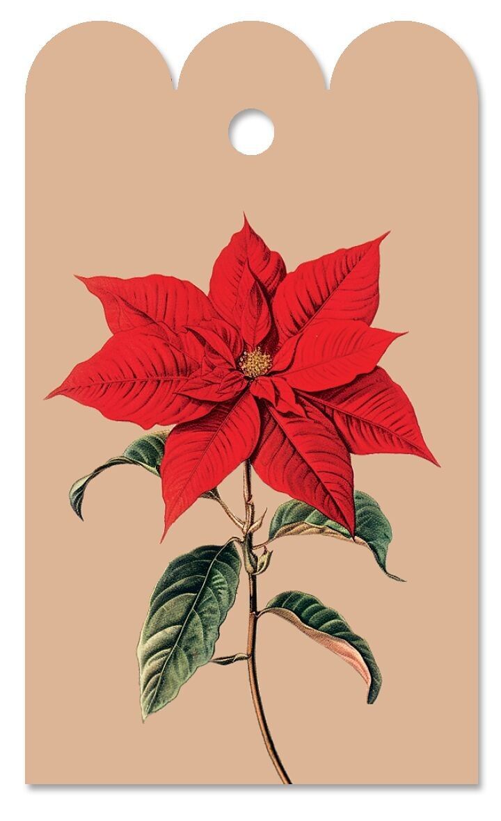 Etiqueta de regalo de flor de Pascua