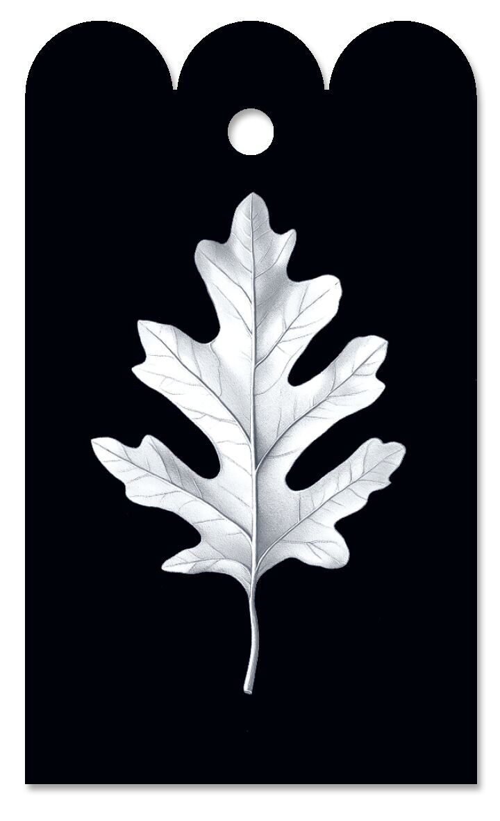 Etiqueta de regalo de roble