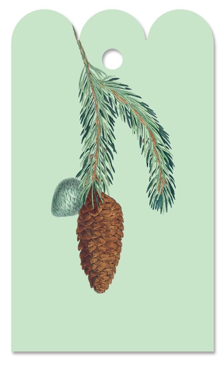 Etiqueta de regalo Picea
