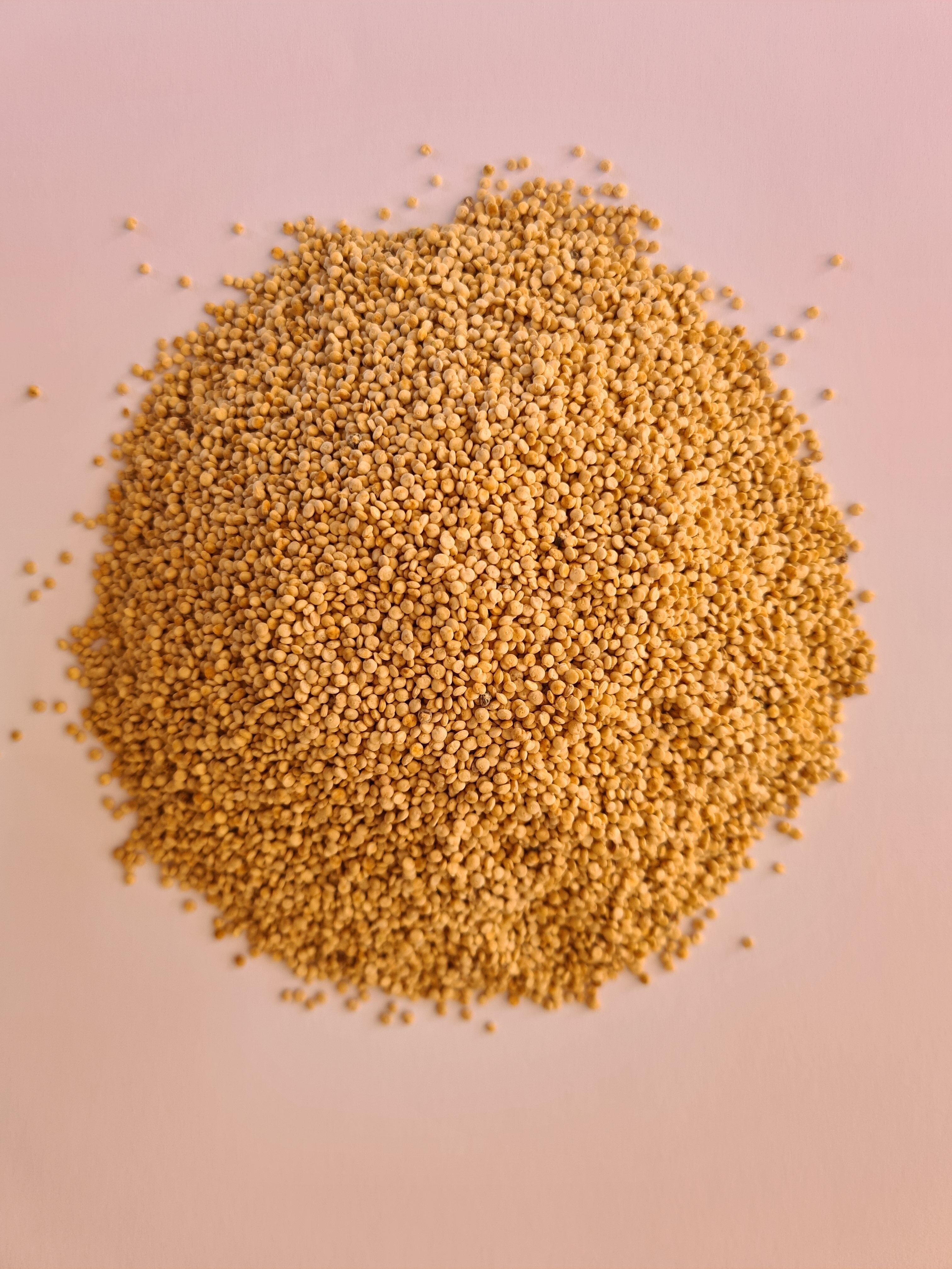 Quinoa BIO Ile de France 10 kg