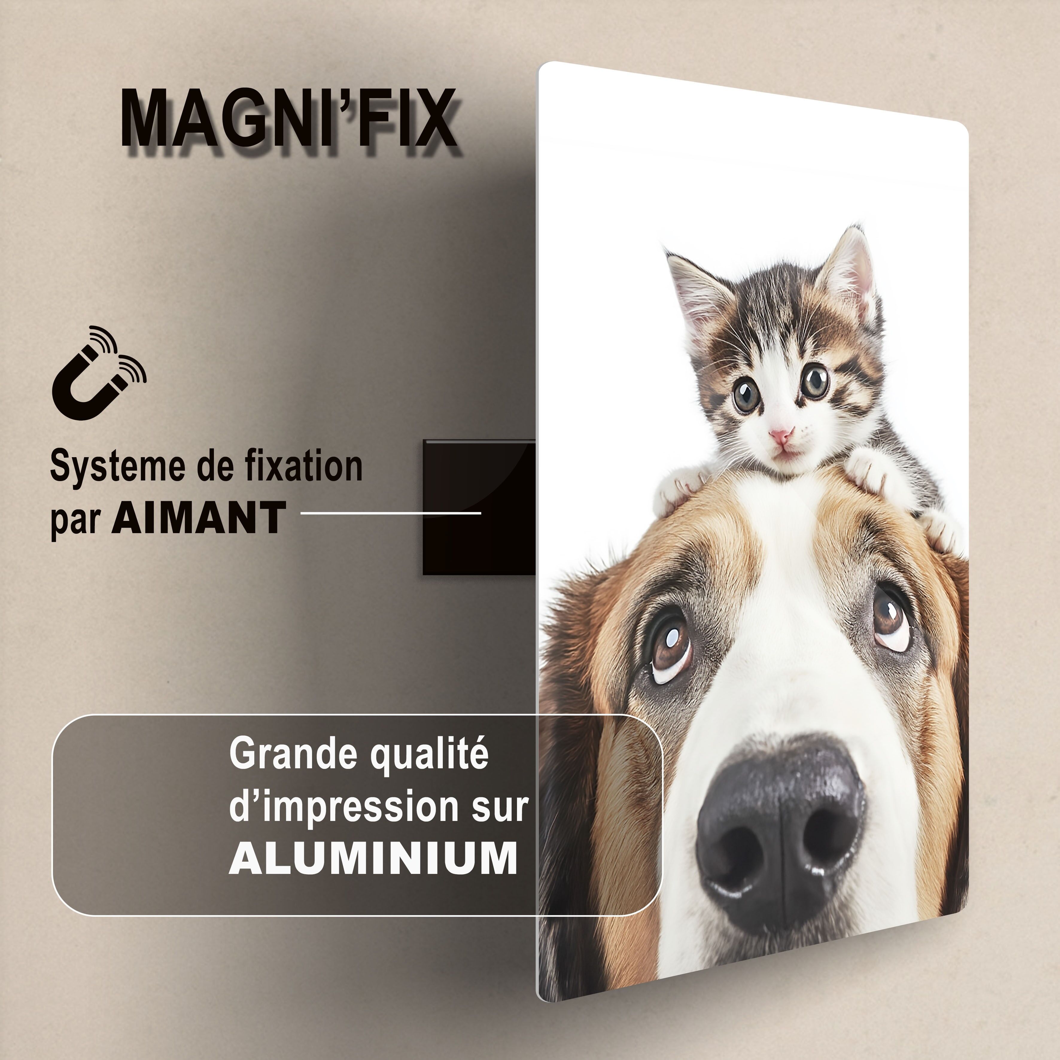 TAVOLA MAGNETICA: TAXI TUTTO