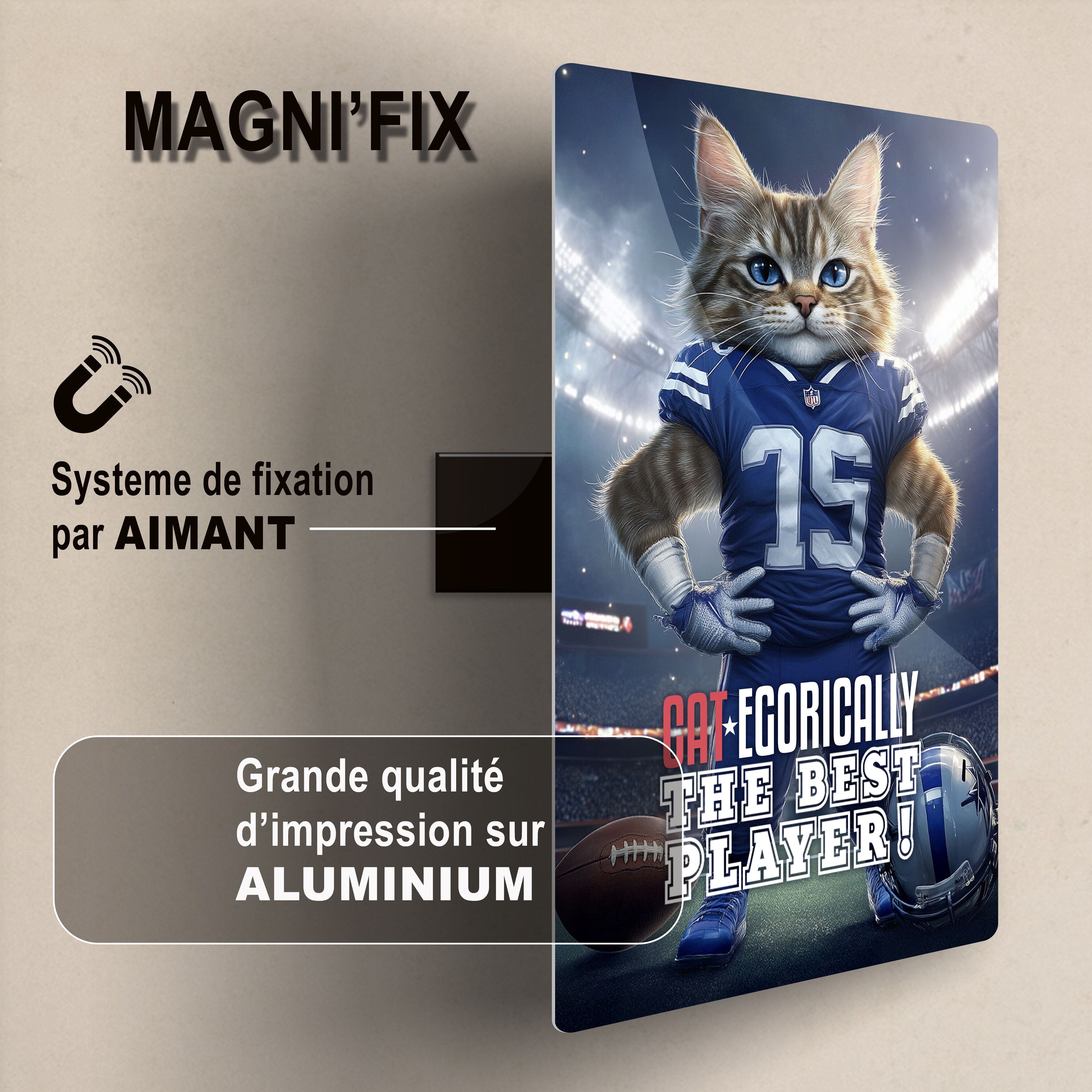 LAVAGNA MAGNETICA: CATEGORICAMENTE