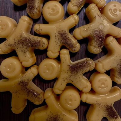 Chocolate / Hazelnut - Christmas Collection - 8g